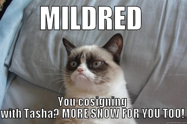 MILDRED YOU COSIGNING WITH TASHA? MORE SNOW FOR YOU TOO! Grumpy Cat