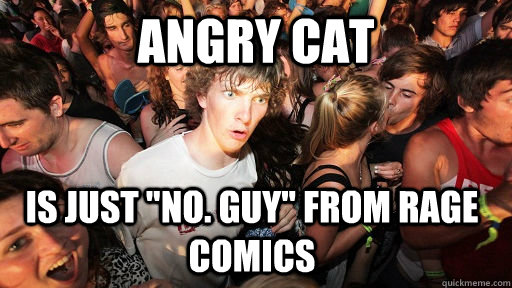 Angry Cat Is just 