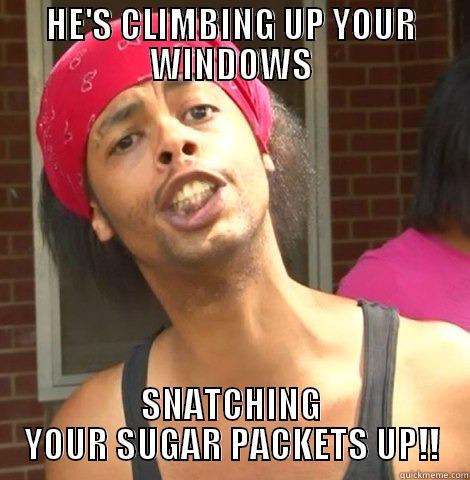 HE'S CLIMBING UP YOUR WINDOWS SNATCHING YOUR SUGAR PACKETS UP!! Misc