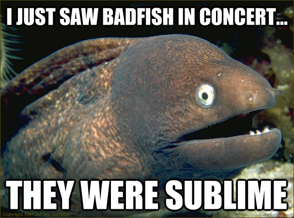 I just saw Badfish in concert... they were sublime  Bad Joke Eel