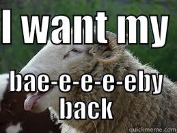 I WANT MY  BAE-E-E-E-EBY BACK Misc