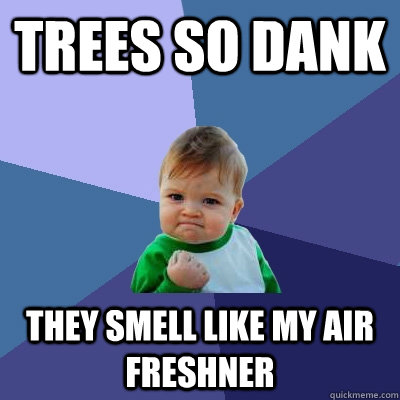 Trees so dank They smell like my air freshner - Trees so dank They smell like my air freshner  Success Kid