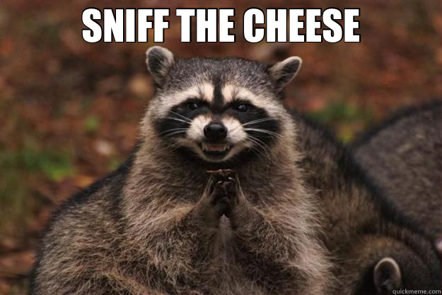 SNIFF THE CHEESE  - SNIFF THE CHEESE   Evil Plotting Raccoon