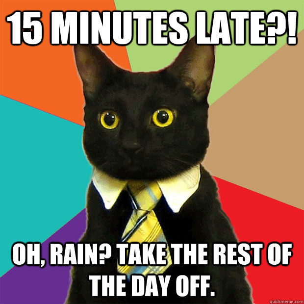 15 Minutes Late?! Oh, rain? take the rest of the day off.  Business Cat