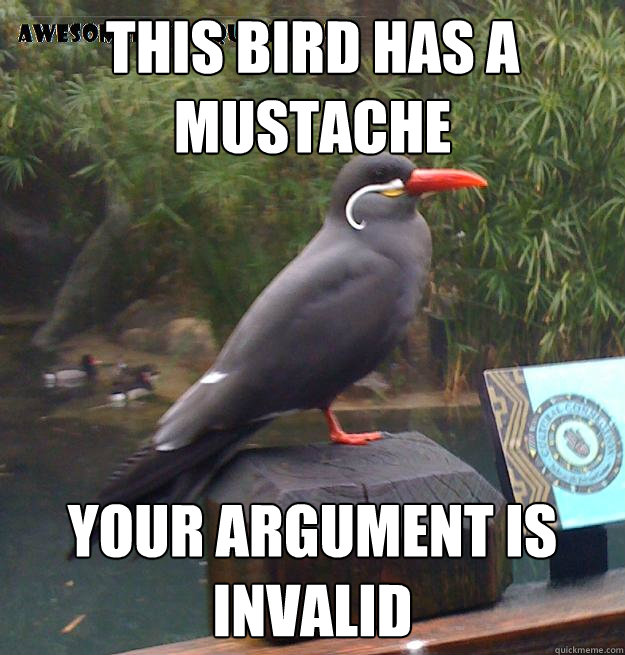 this bird has a mustache your argument is invalid  Mustache Bird