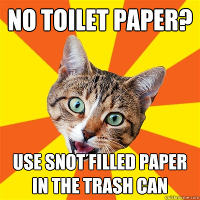 no toilet paper? use snot filled paper in the trash can  Bad Advice Cat