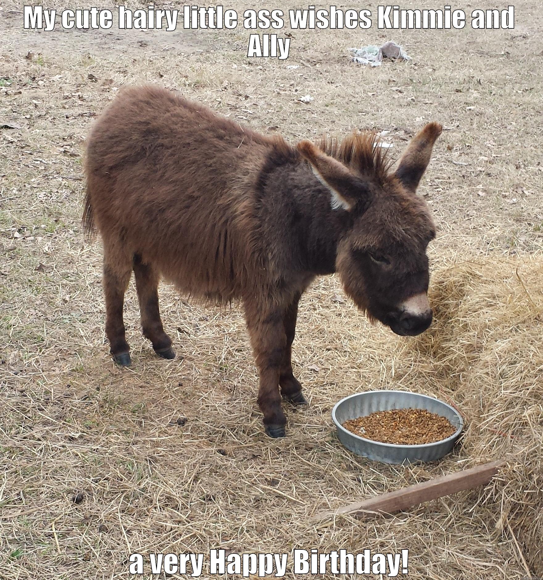 MY CUTE HAIRY LITTLE ASS WISHES KIMMIE AND ALLY A VERY HAPPY BIRTHDAY! Misc