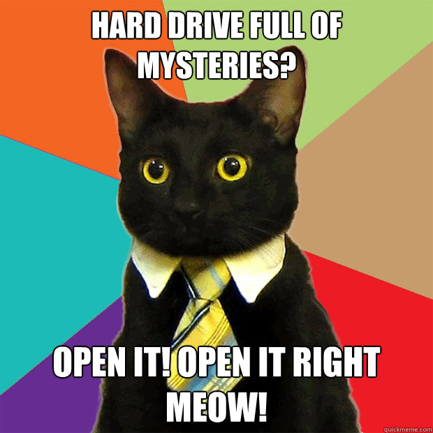 Hard drive full of mysteries? Open it! Open it right meow!  Business Cat