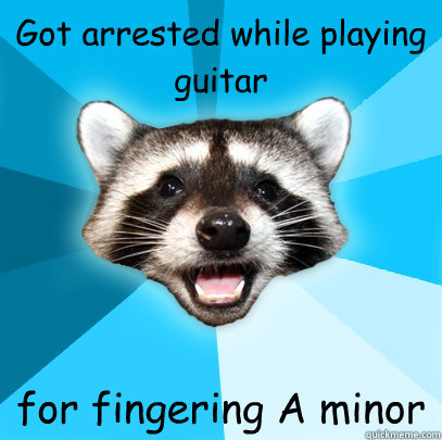 Got arrested while playing guitar for fingering A minor - Got arrested while playing guitar for fingering A minor  Lame Pun Coon