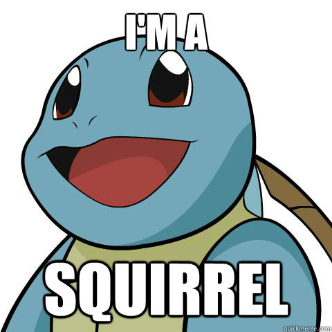 I'm a Squirrel  Squirtle