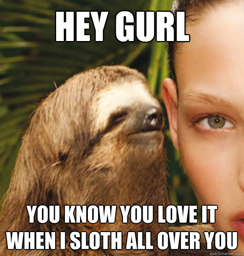 Hey Gurl You know you love it when I sloth all over you - Hey Gurl You know you love it when I sloth all over you  Whispering Sloth