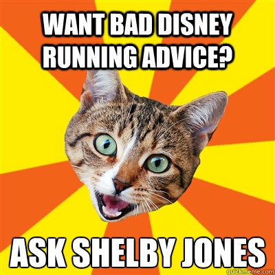 want bad disney running advice? ask shelby jones  Bad Advice Cat