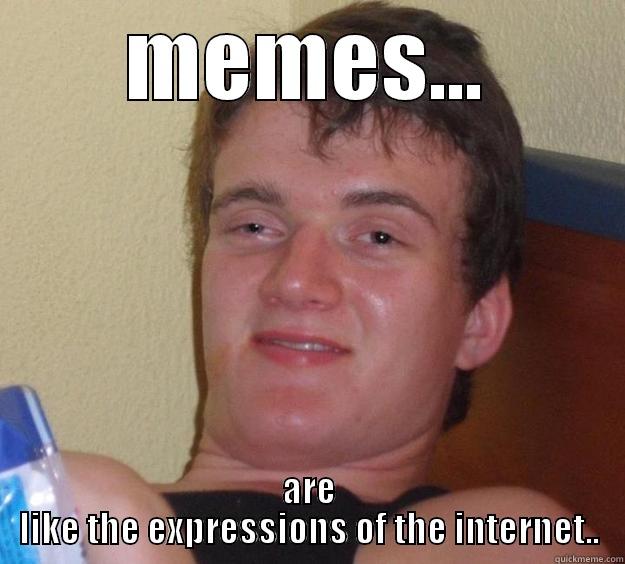 MEMES... ARE LIKE THE EXPRESSIONS OF THE INTERNET.. 10 Guy