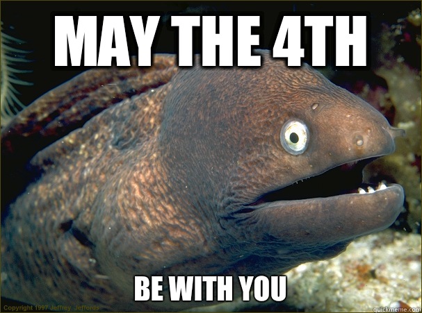 May the 4th Be with you  Bad Joke Eel