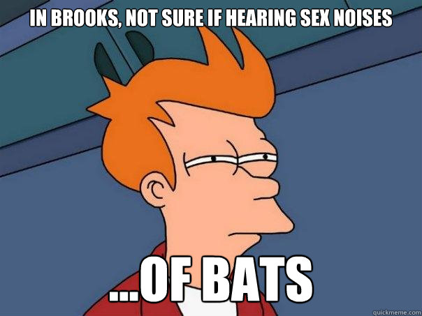 in brooks, not sure if hearing sex noises ...of bats  Futurama Fry