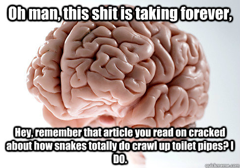 Oh man, this shit is taking forever, Hey, remember that article you read on cracked about how snakes totally do crawl up toilet pipes? I DO.  Scumbag Brain