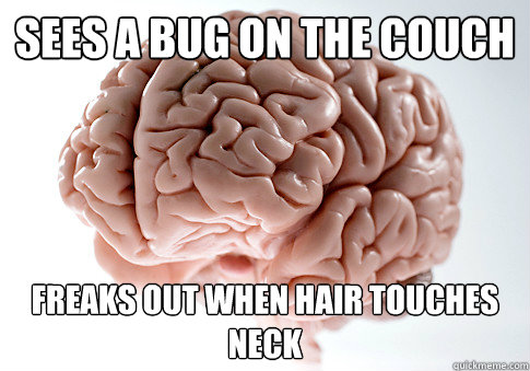 SEES A BUG ON THE COUCH FREAKS OUT WHEN HAIR TOUCHES NECK   Scumbag Brain