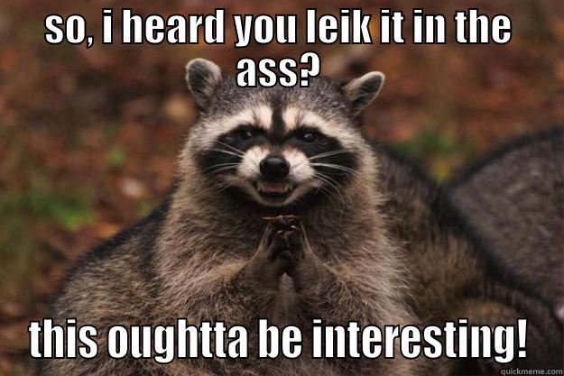 SO, I HEARD YOU LEIK IT IN THE ASS? THIS OUGHTTA BE INTERESTING! Evil Plotting Raccoon