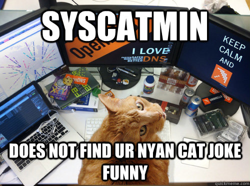 Syscatmin does not find ur Nyan Cat joke funny  SysCatmin