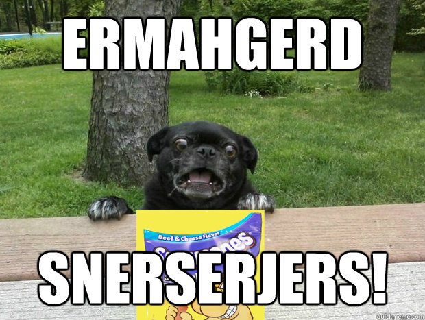 ermahgerd snerserjers! - ermahgerd snerserjers!  Berks Dog