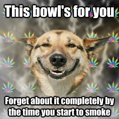 This bowl's for you Forget about it completely by the time you start to smoke  Stoner Dog