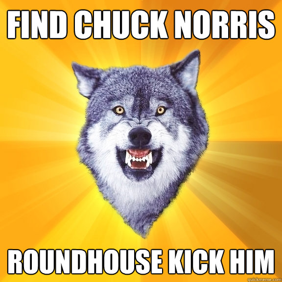 Find Chuck Norris Roundhouse kick him  Courage Wolf