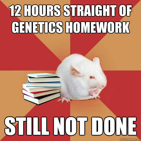 12 Hours straight of genetics homework still not done  Science Major Mouse