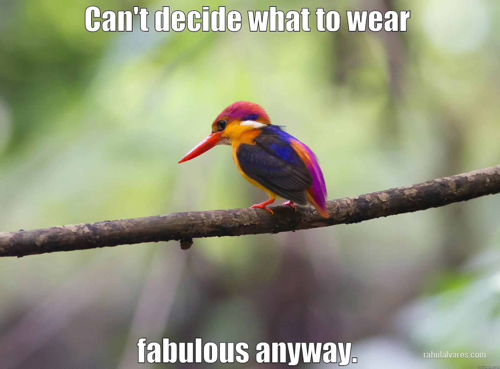 CAN'T DECIDE WHAT TO WEAR FABULOUS ANYWAY. Misc