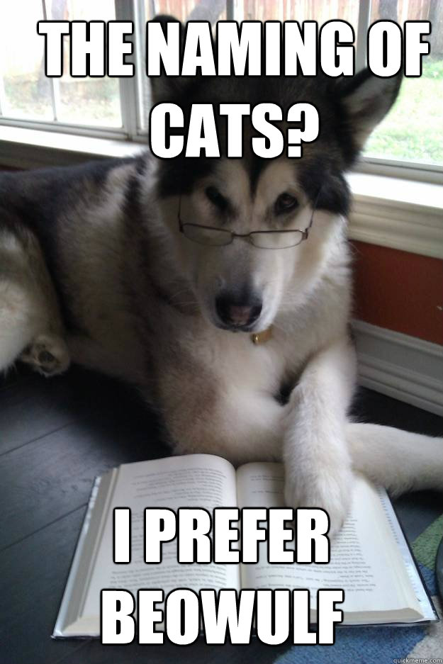 The naming of cats? i prefer beowulf  Condescending Literary Pun Dog