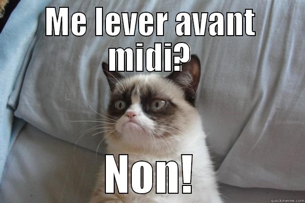 ME LEVER AVANT MIDI? NON! Grumpy Cat