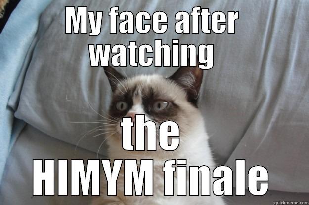 MY FACE AFTER WATCHING THE HIMYM FINALE Grumpy Cat