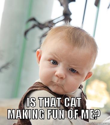  IS THAT CAT MAKING FUN OF ME? skeptical baby