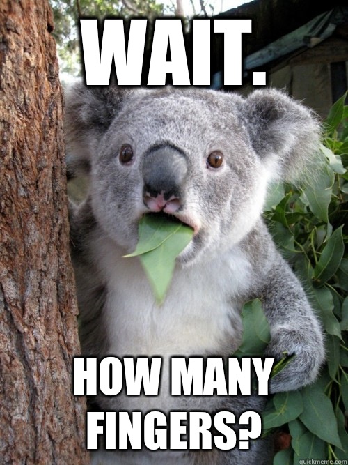 Wait. How many fingers?  koala bear