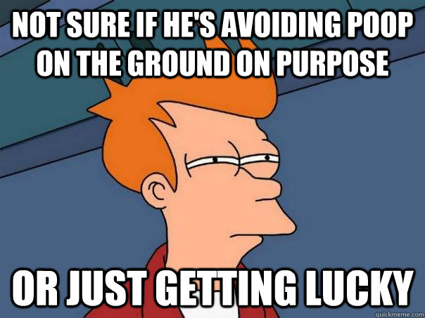 Not sure if he's avoiding poop on the ground on purpose Or just getting lucky  Futurama Fry