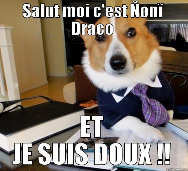 SALUT MOI C'EST ŇØNÏ DRACO ET JE SUIS DOUX !! Lawyer Dog