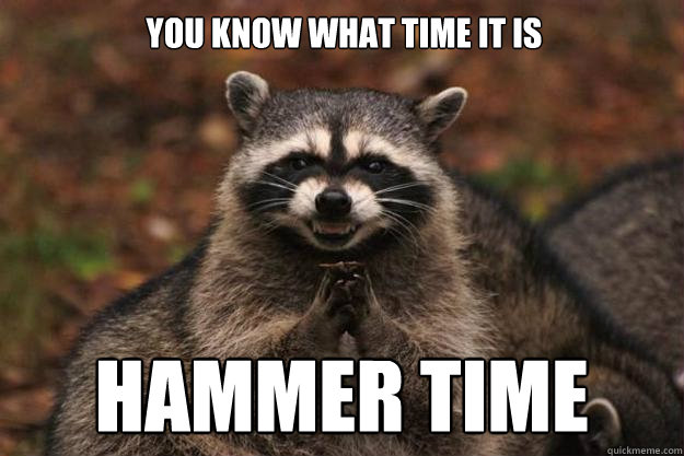 you know what time it is HAMMER TIME  Evil Plotting Raccoon