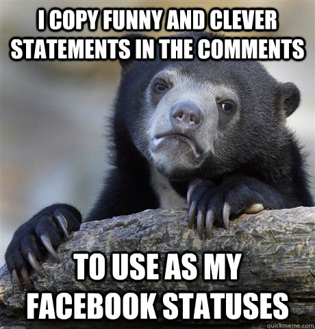 I copy funny and clever statements in the comments to use as my facebook statuses  Confession Bear