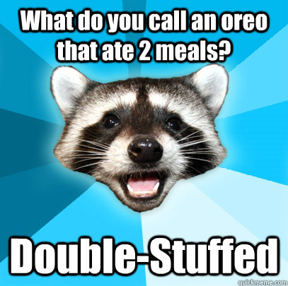 What do you call an oreo that ate 2 meals? Double-Stuffed  Lame Pun Coon