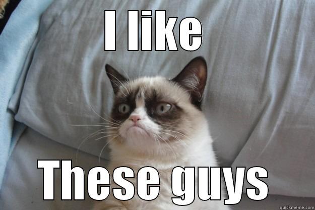 I LIKE THESE GUYS Grumpy Cat
