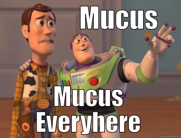              MUCUS  MUCUS EVERYHERE Toy Story