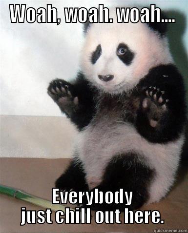 Discretionary Panda - WOAH, WOAH. WOAH.... EVERYBODY JUST CHILL OUT HERE. Misc