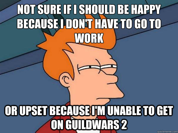 Not sure if I should be happy because I don't have to go to work or upset because i'm unable to get on Guildwars 2   Futurama Fry