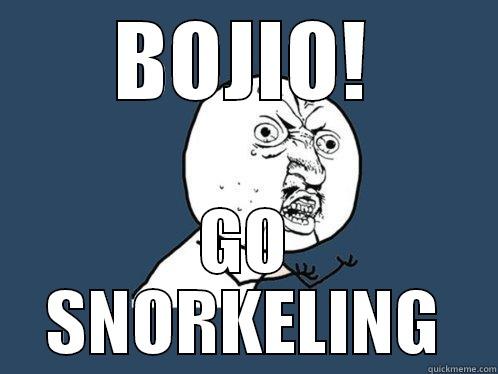 Y U no Bojio - BOJIO! GO SNORKELING Y U No