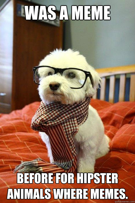 Was a meme  Before for hipster animals where memes.  - Was a meme  Before for hipster animals where memes.   Hipster Dog