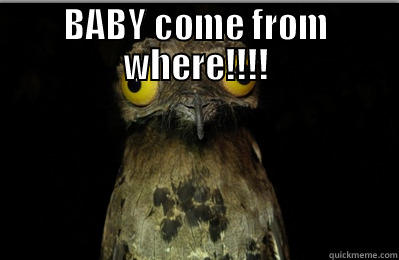 Derp Bird - BABY COME FROM WHERE!!!!  Misc