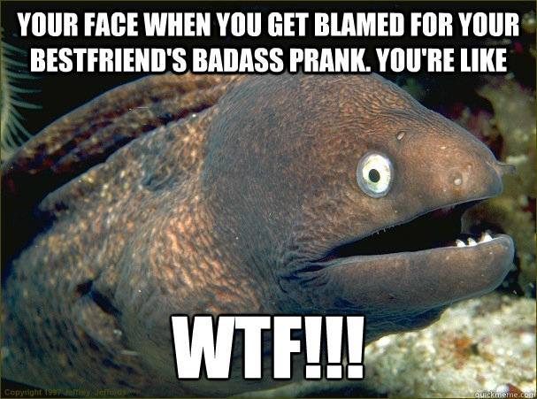 your face when you get blamed for your bestfriend's badass prank. you're like wtf!!!  Bad Joke Eel