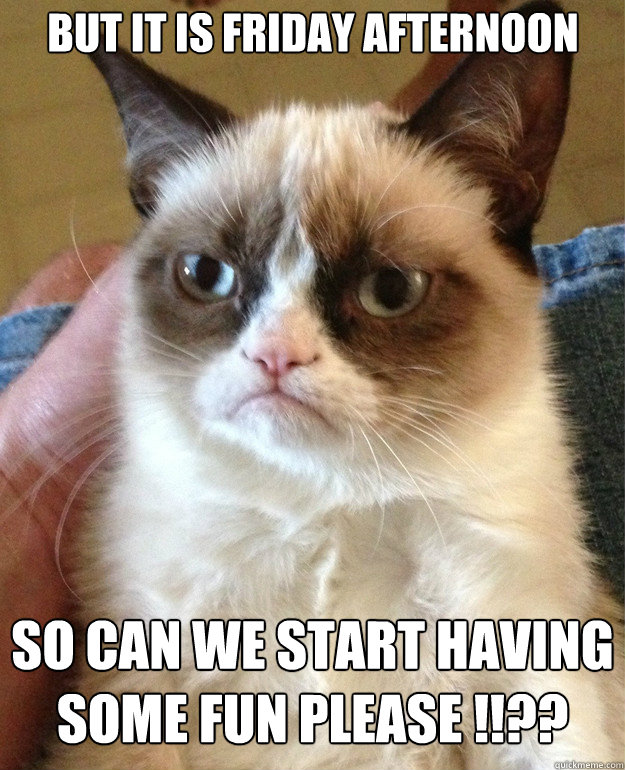 But IT IS Friday Afternoon SO Can We Start Having Some Fun PLEASE !!??  Grumpy Cat