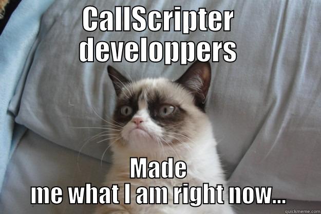 CALLSCRIPTER DEVELOPPERS MADE ME WHAT I AM RIGHT NOW... Grumpy Cat