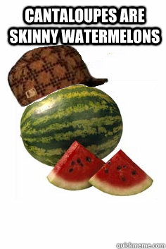 cantaloupes are skinny watermelons  - cantaloupes are skinny watermelons   Scumbag Watermelon