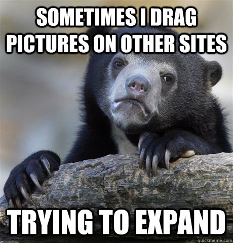 Sometimes I drag pictures on other sites trying to expand  Confession Bear